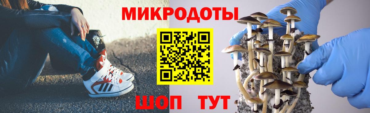 Галлюциногенные грибы мухоморы Сочи